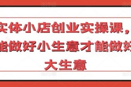 实体小店创业实操课 小生意引流获客经营落地技巧大全