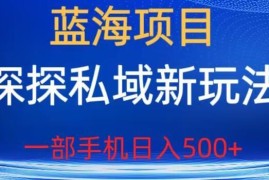 探探私域蓝海项目实操玩法拆解 单手机操作轻松实现日入500+