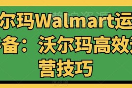 沃尔玛Walmart高效运营技巧 选品推广转化全流程实操教学