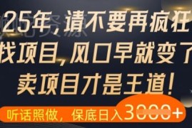2025年还在到处找网创项目？为何卖项目比做项目更容易盈利