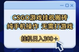 CSGO游戏搬砖副业实操攻略 小白纯手机操作无需玩游戏即可上手