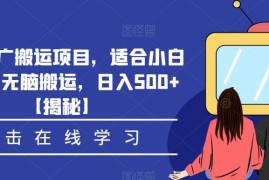 适合零基础小白操作的影视推广搬运项目 长期稳定日入500+