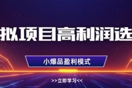 虚拟项目高利润选品方法教学 单店盈利破万可多店复制倍增