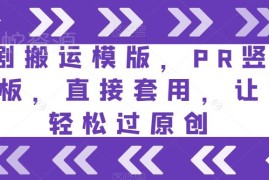 短剧搬运PR竖版剪辑模板分享 直接套用可提升原创过审概率