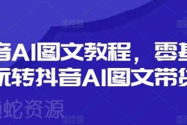 零基础抖音AI图文带货教程 含运营选品投流全流程实操内容