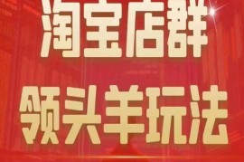 淘宝店群领头羊玩法详解 涵盖精细化运营终极蓝海尾销技巧