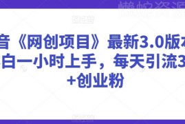 抖音网创项目3.0实操攻略 小白引流创业粉玩法全解析