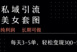 私域售卖套图副业实操教程 单利润99+日均3-5单玩法攻略