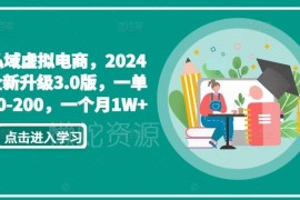 2024私域虚拟电商3.0玩法详解 轻资产单月盈利破万实操指南