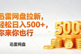 迅雷网盘拉新项目玩法详解 低门槛小白副业变现实操指南