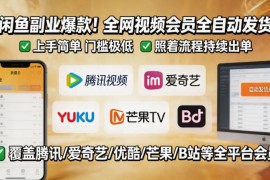 零基础操作闲鱼卖全网视频会员副业 全自动发货易上手可稳定出单