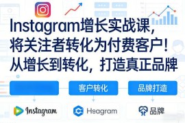 Instagram增长实战教程 从涨粉到转化付费客户打造品牌 含双语字幕
