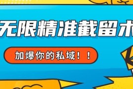 抖音无限精准截留术玩法揭秘 支持自定义话术长期获取精准流量