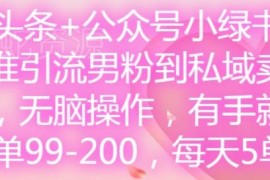 2024微头条+公众号小绿书引流男粉到私域卖套图实操教程