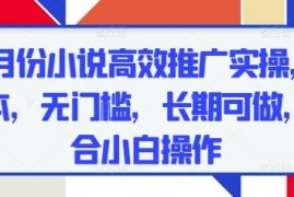 五月份零成本无门槛小说推广实操 小白可长期落地的副业项目