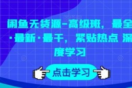 闲鱼无货源高级运营教程 从基础操作到爆单玩法全讲解