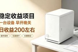 全自动设备挂机副业项目详解 低门槛轻资产长效运营玩法介绍