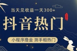 抖音测手相热门小程序撸金项目实操 当天可见收益小时变现300+