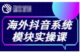 海外抖音TikTok系统实操课 覆盖短视频直播带货小店运营全流程