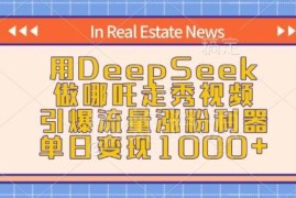 用DeepSeek制作哪吒走秀视频 涨粉变现全流程实操教程