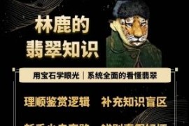 宝石视角系统讲解翡翠知识 新手爱好者商家通用入门课程