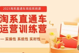 2023冠东淘系直通车高级系统课 全体系实操运营技巧干货教学