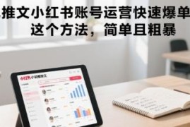 小说推文小红书账号运营实操技巧 简单易上手快速实现爆单