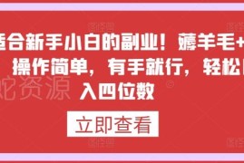 新手零门槛副业推荐：外网看广告薅羊毛 操作简单易上手