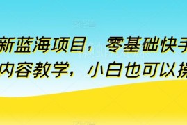 零基础可操作快手付费内容教学蓝海项目 附全套实操资料
