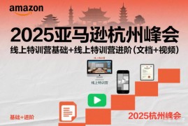 2025亚马逊杭州峰会 线上基础+进阶特训营视频文档合集