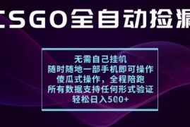 CSGO游戏饰品交易全自动捡漏项目 无需玩游戏手机即可操作