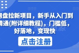 网盘拉新项目从入门到精通教程 低门槛新手易落地变现指南