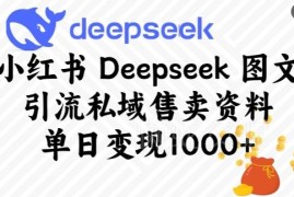 小红书Deepseek图文引流私域售卖资料实操方法 单日可变现超千元