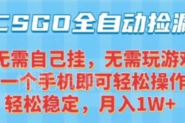 CSGO全自动捡漏赚差价项目解析 手机可操作新手易上手
