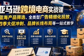 亚马逊跨境电商实战课 选品广告投放大促品牌布局全流程教学