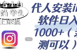 代人安装INS软件副业实操方法 小白宝妈学生上班族均可上手