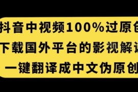 抖音中视频过原创实操技巧 搬运海外影视解说翻译变现教程
