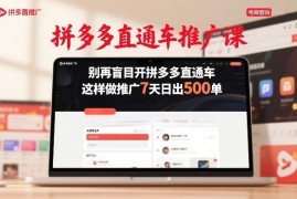 拼多多直通车正确推广教程 掌握实操玩法7天实现日出500单