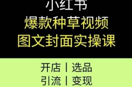 小红书爆款种草账号实操课 开店选品引流变现全流程教学