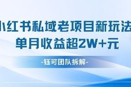 小红书私域项目新玩法详解 普通人副业变现实操指南