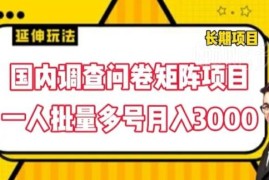 国内调查问卷矩阵项目实操 单人批量多号月入3000玩法详解