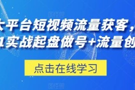 三大平台短视频获客实操教程 0-1起盘做号及流量创收全攻略