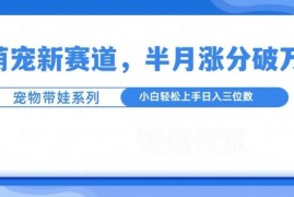 2024萌宠带娃内容新赛道攻略 小白低门槛入局半月涨粉技巧