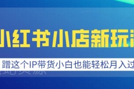 2025小红书小店蹭IP带货新玩法 小白低门槛可上手实操教程