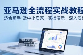 亚马逊开店运营全流程实战教程 新手中小卖家实操入门指南