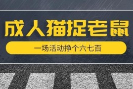 成人版猫捉老鼠线下项目拆解 单场盈利数百元实操教程