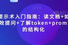 AI提示术新手入门全指南 读文档/有效提问/Token/结构化技巧汇总