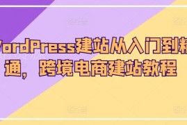 WordPress跨境电商建站从入门到精通 全流程实操教程