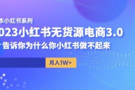 阿本小红书无货源电商3.0教程 解答新手做店没流量核心问题