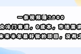 0成本冷门短视频赚钱项目详解 单条内容最高可获千元收益